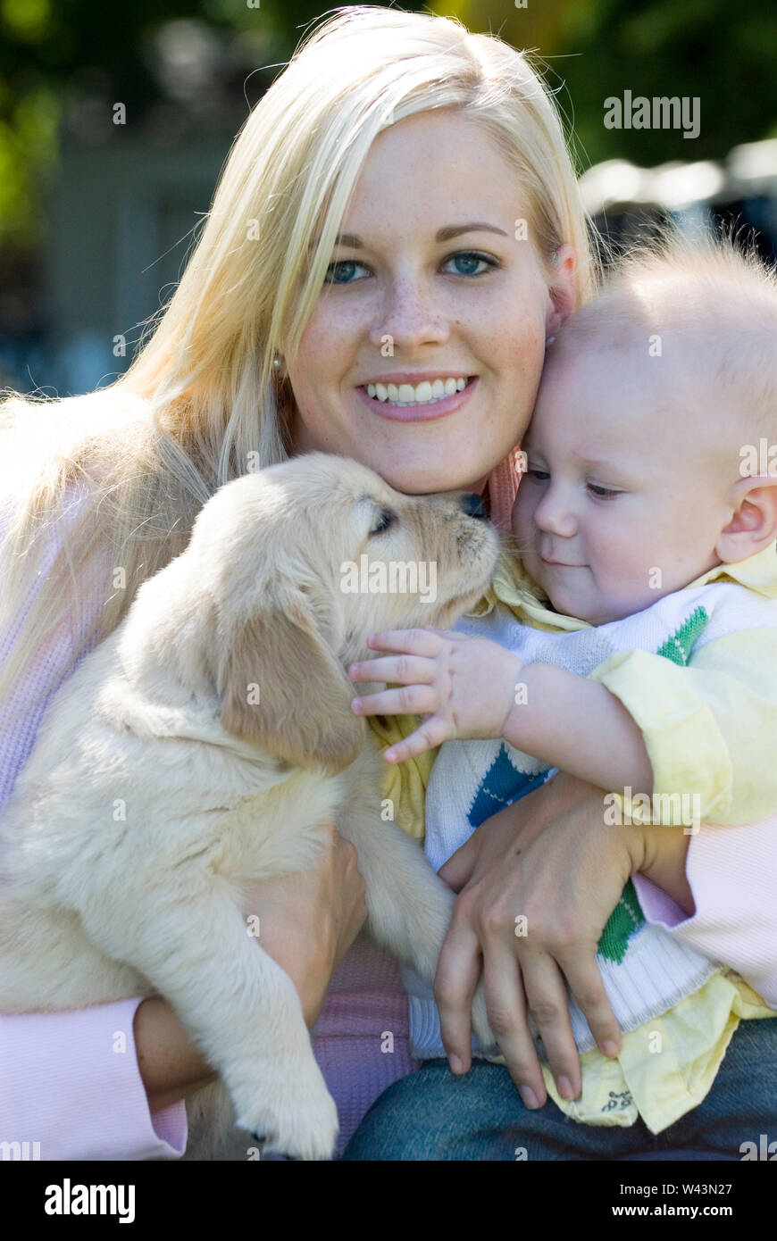 Ritratto di una madre e bambino golden retriever cucciolo Foto Stock
