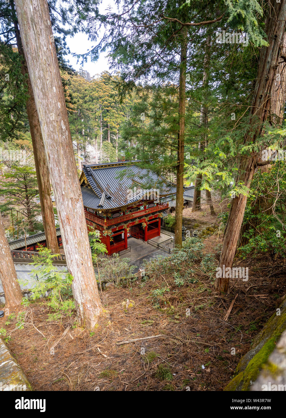 Rinno-ji Taiyū-in Reibyō Nitemmon cancello in Nikko Foto Stock