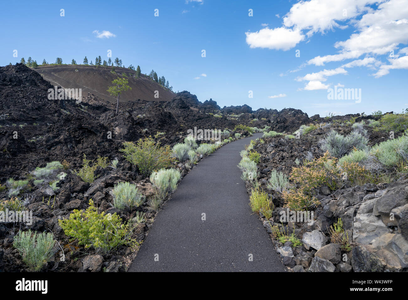 Sentiero delle terre fuso si snoda attraverso la roccia vulcanica. La Lava Butte in background a Newberry nazionale monumento vulcanico vicino a Bend, Oregon Foto Stock