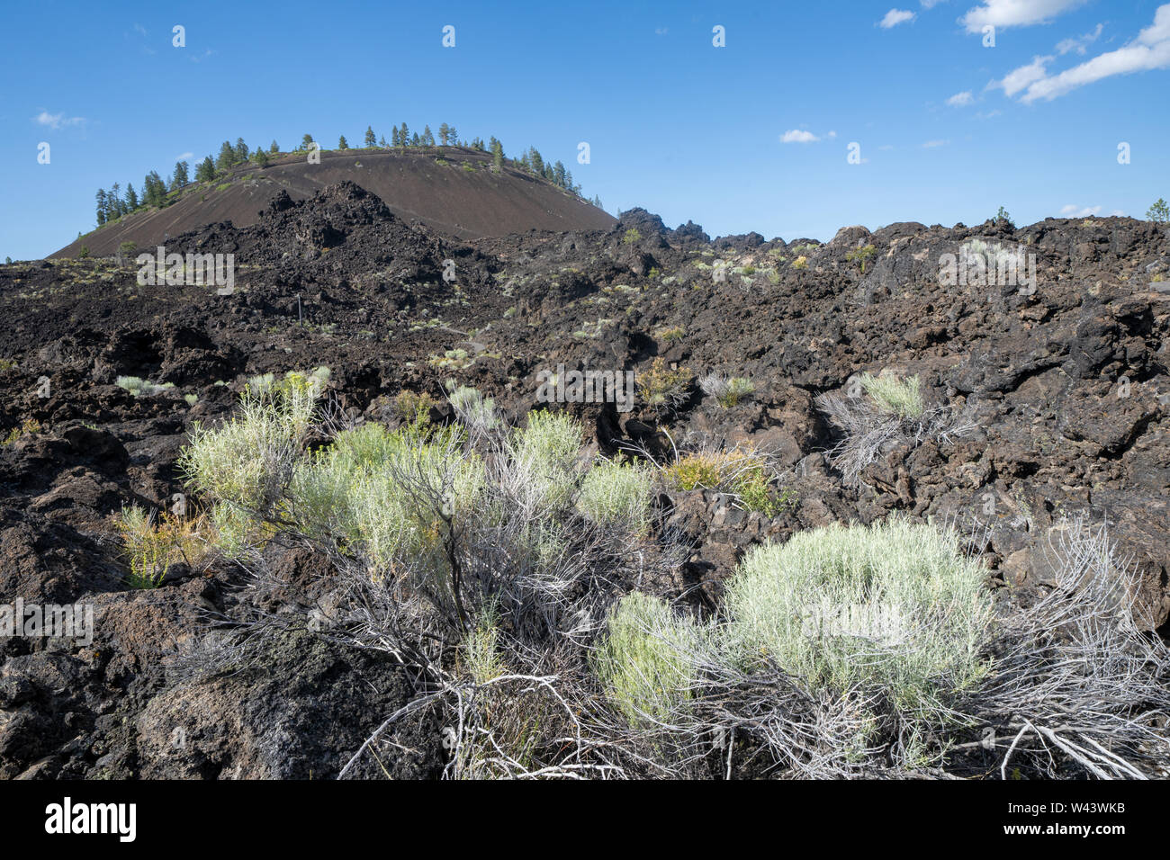 Vista della Lava Butte in terre di lava a Newberry nazionale monumento vulcanica nel centro di Oregon Foto Stock