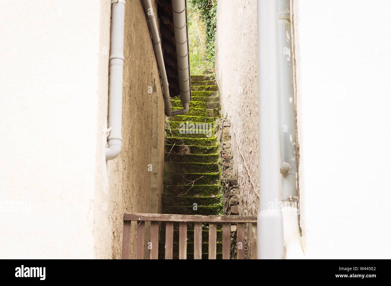 Piccola e stretta scala con erba (Germania, Europa) Foto Stock