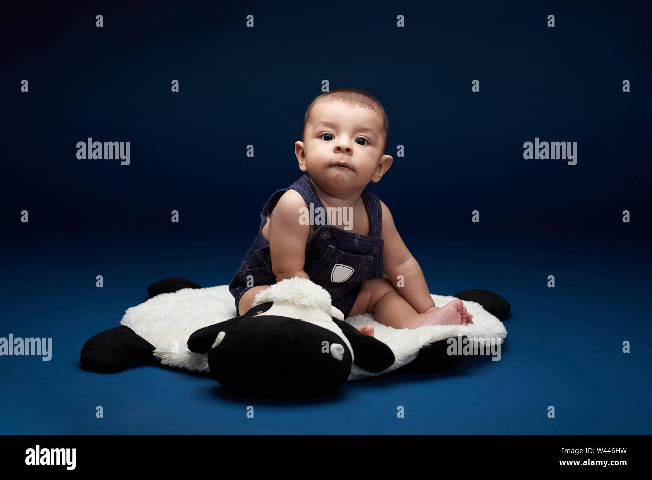 Un paffuto bambino sedersi su blu di sfondo per studio Foto Stock