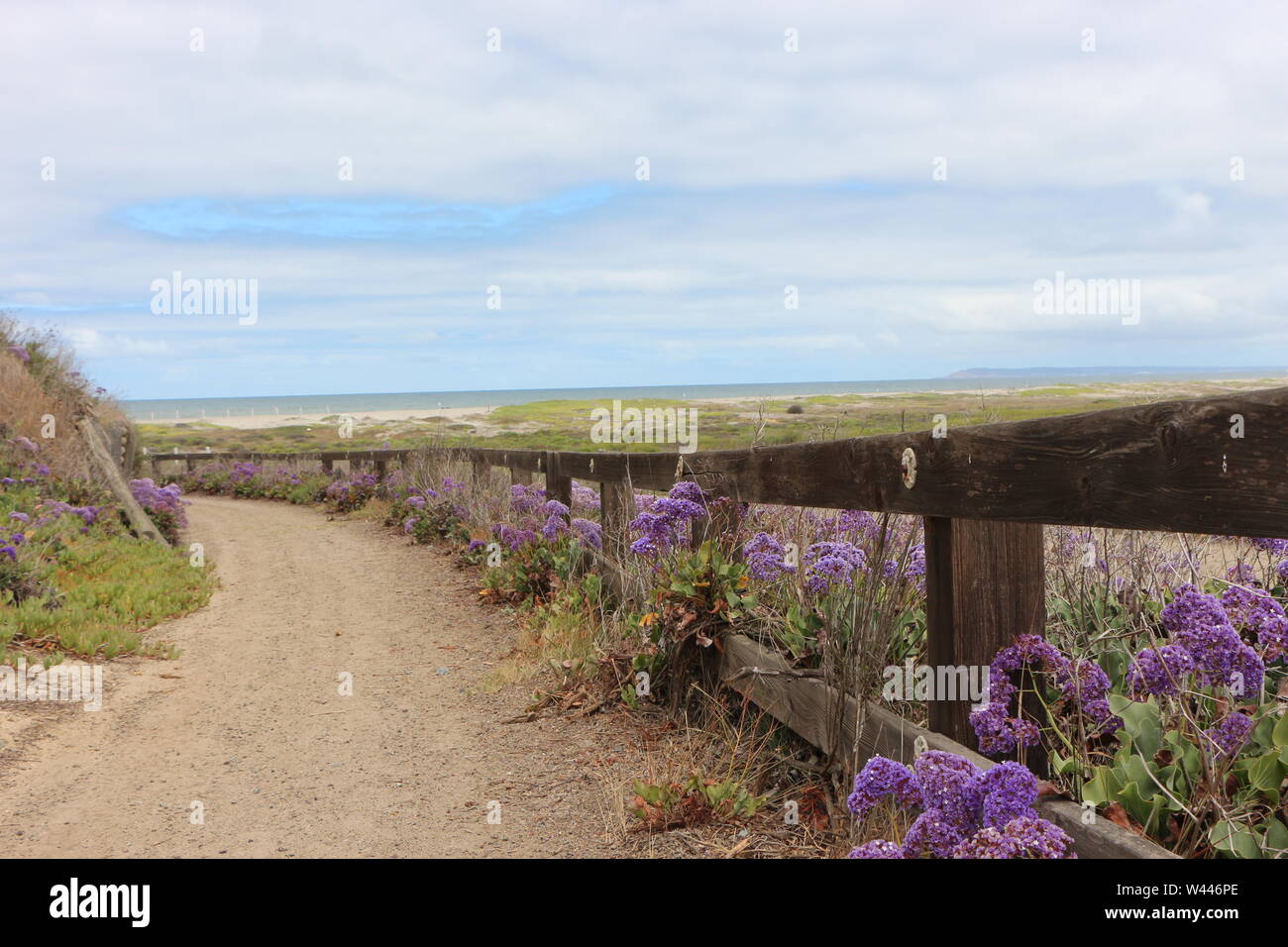 Amicizia Internazionale Park, nella parte meridionale della California USA, vicino alla US/Messico frontiera sulla spiaggia Foto Stock
