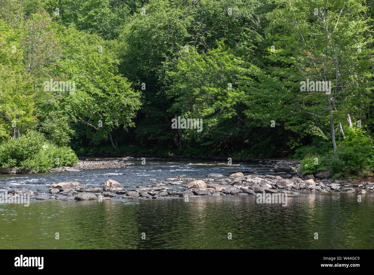 Oxtongue Rocky River in Ontario del nord sotto una tettoia di estate di foglie verdi Foto Stock