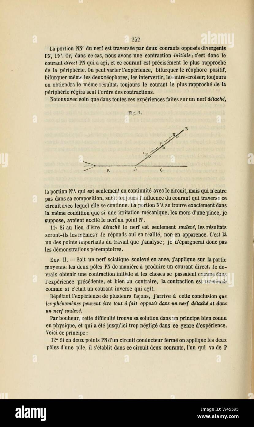 Comptes rendus des séances de la Société de Biologie et de ses filiales (pagina 252) Foto Stock