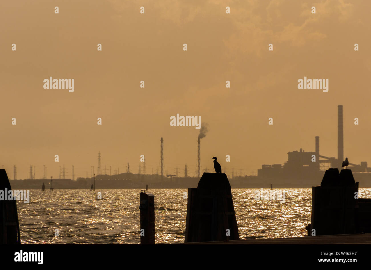 Ambiente naturale e di inquinamento in laguna di Venezia. Un cormoran guarda la zona industriale di Porto Marghera Foto Stock