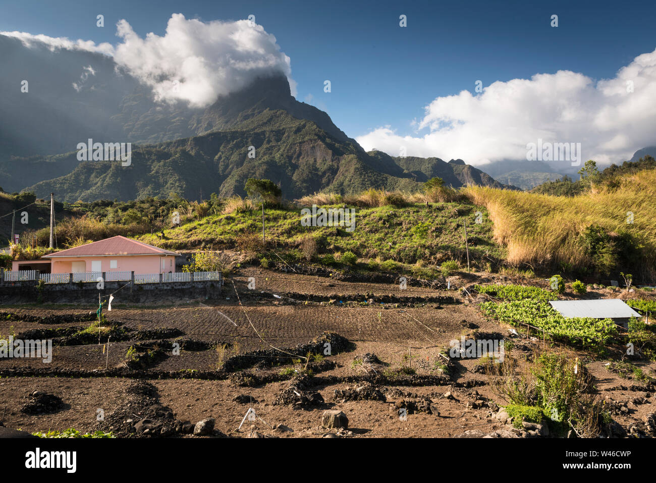 La coltivazione su terreni di origine vulcanica intorno al villaggio di Ilet a Cordes, Cirque de Cilaos, La Reunion. Foto Stock