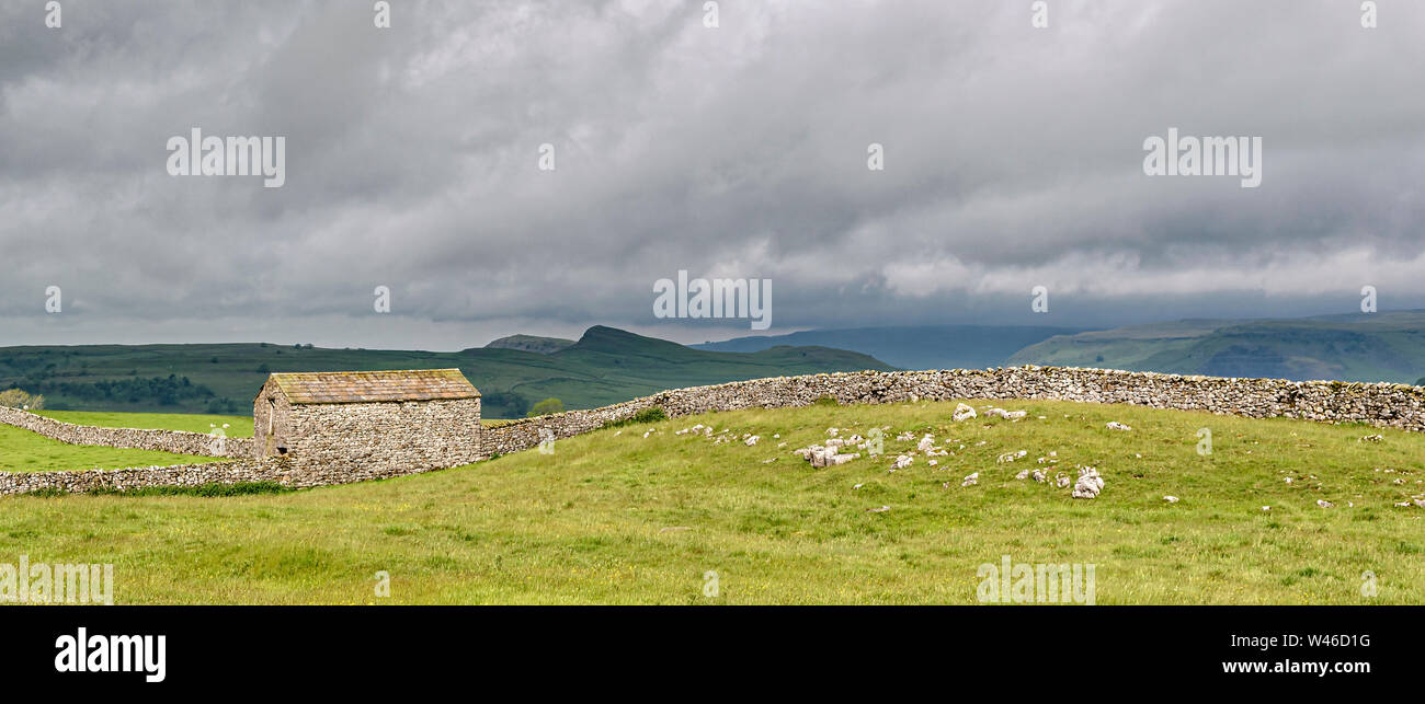 Panorama di tipiche Yorkshire Dales stone barm sul Pennine Viaggio da stabilirsi a Horton in Ribblesdale Foto Stock