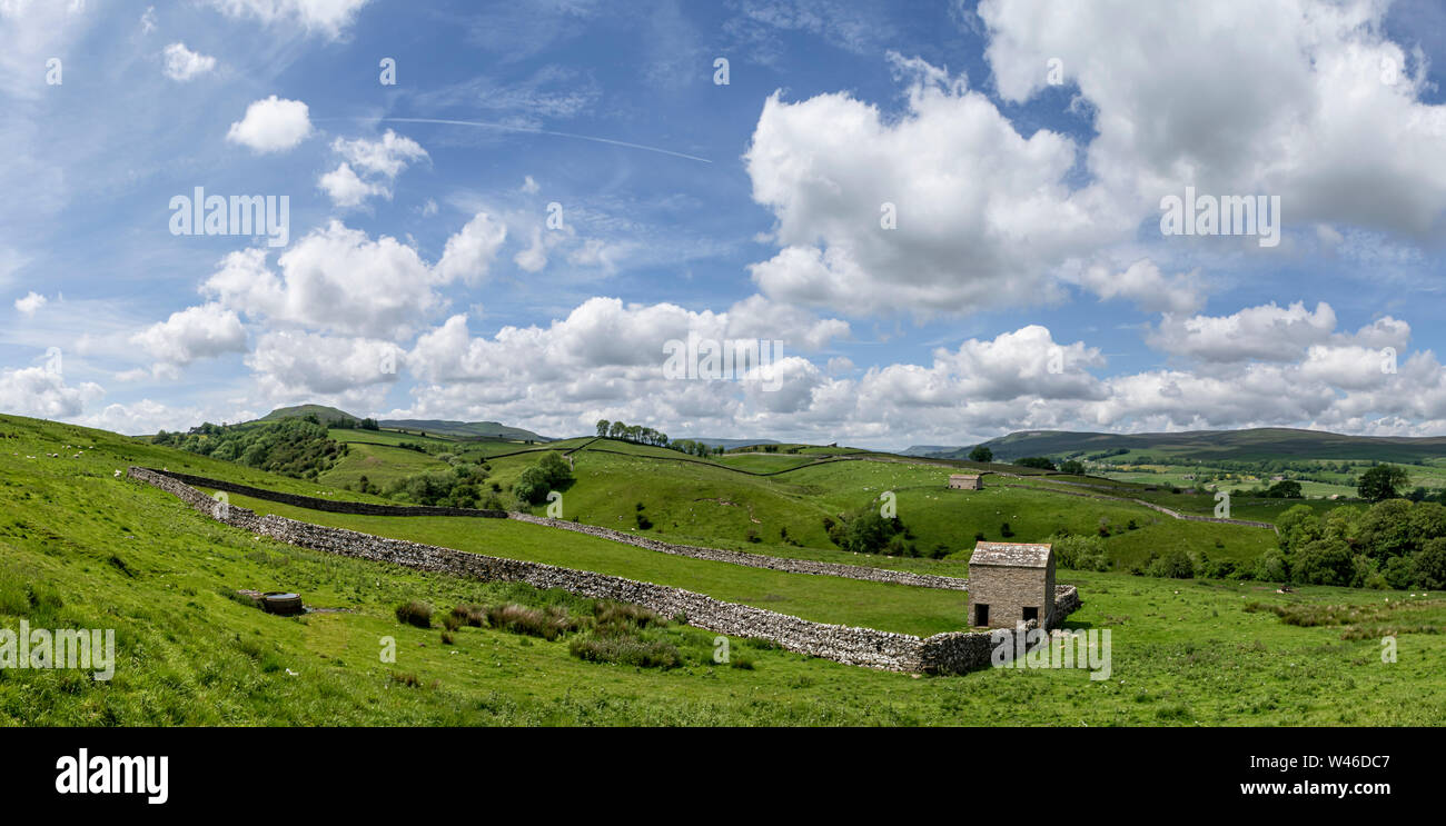 Panorama delle splendide Yorkshire Dales con fienile murato campo e delle ondulate colline nelle vicinanze Bainbridge in Wensleydale Foto Stock