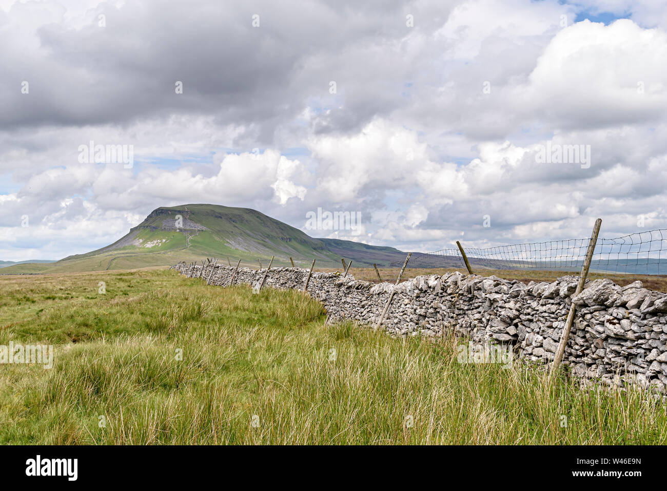 Vista del Pen-y-Ghent in scena uno di Wainwright's Pennine Viaggio da stabilirsi a Horton in Ribblesdale Foto Stock