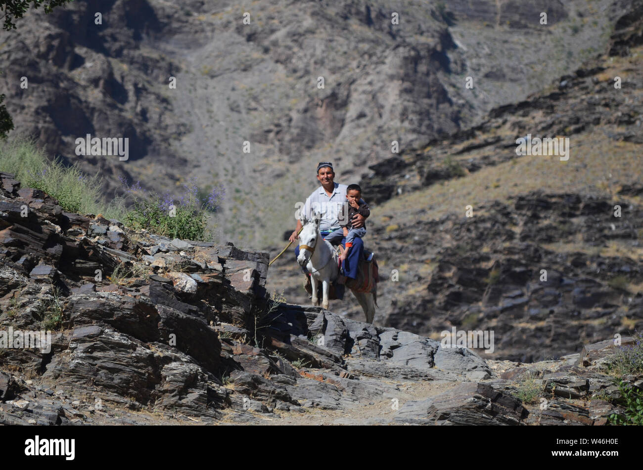 Un agricoltore e il suo figlio più giovane vicino villaggio Sentyob, Nuratau montagne, Uzbekistan Foto Stock