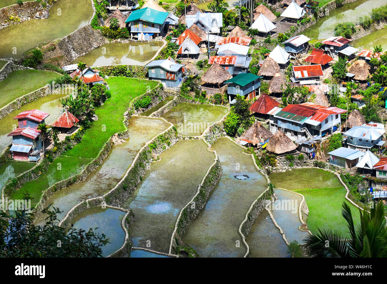 Case di villaggio vicino a terrazze di riso i campi. Incredibile abstract texture con sky colorato riflesso nell'acqua. Ifugao provincia. Banaue, Filippine UNESCO Foto Stock