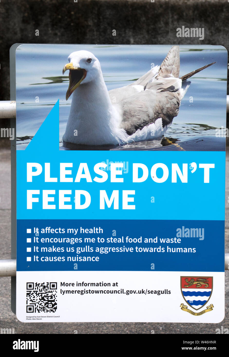 Un segno in corrispondenza di una stazione balneare chiedendo no per alimentare i gabbiani, England, Regno Unito Foto Stock