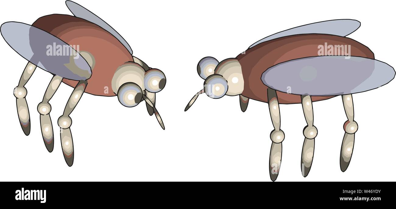 Modello 3D di una mosca, illustrazione vettore su sfondo bianco. Illustrazione Vettoriale