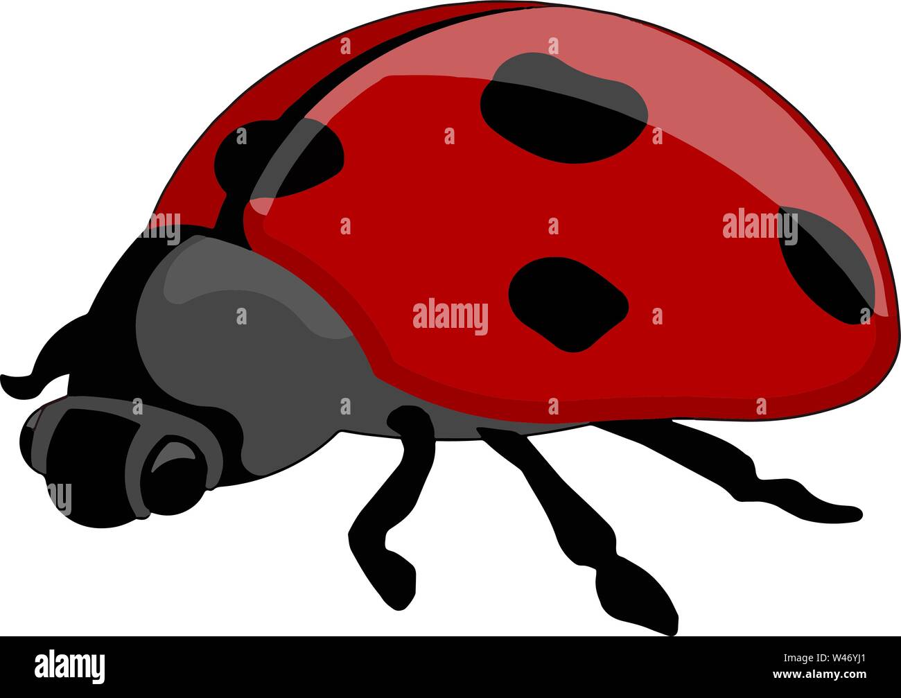 Red Ladybug, illustrazione vettore su sfondo bianco. Illustrazione Vettoriale