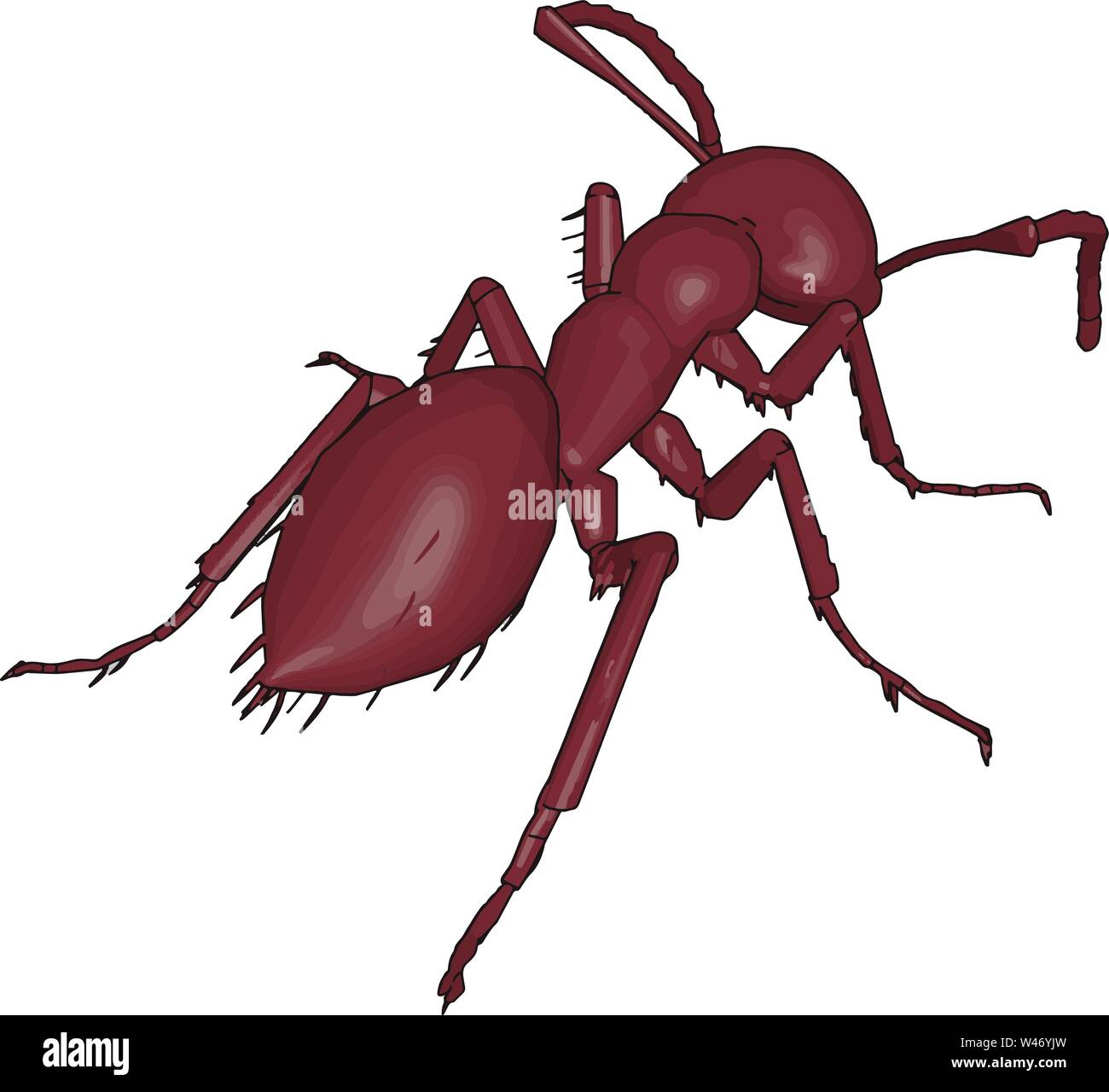 Retro di un 3D ant, illustrazione vettore su sfondo bianco. Illustrazione Vettoriale
