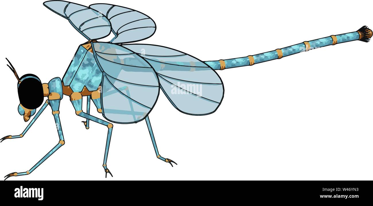 Modello 3D di libellula, illustrazione, vettore su sfondo bianco. Illustrazione Vettoriale
