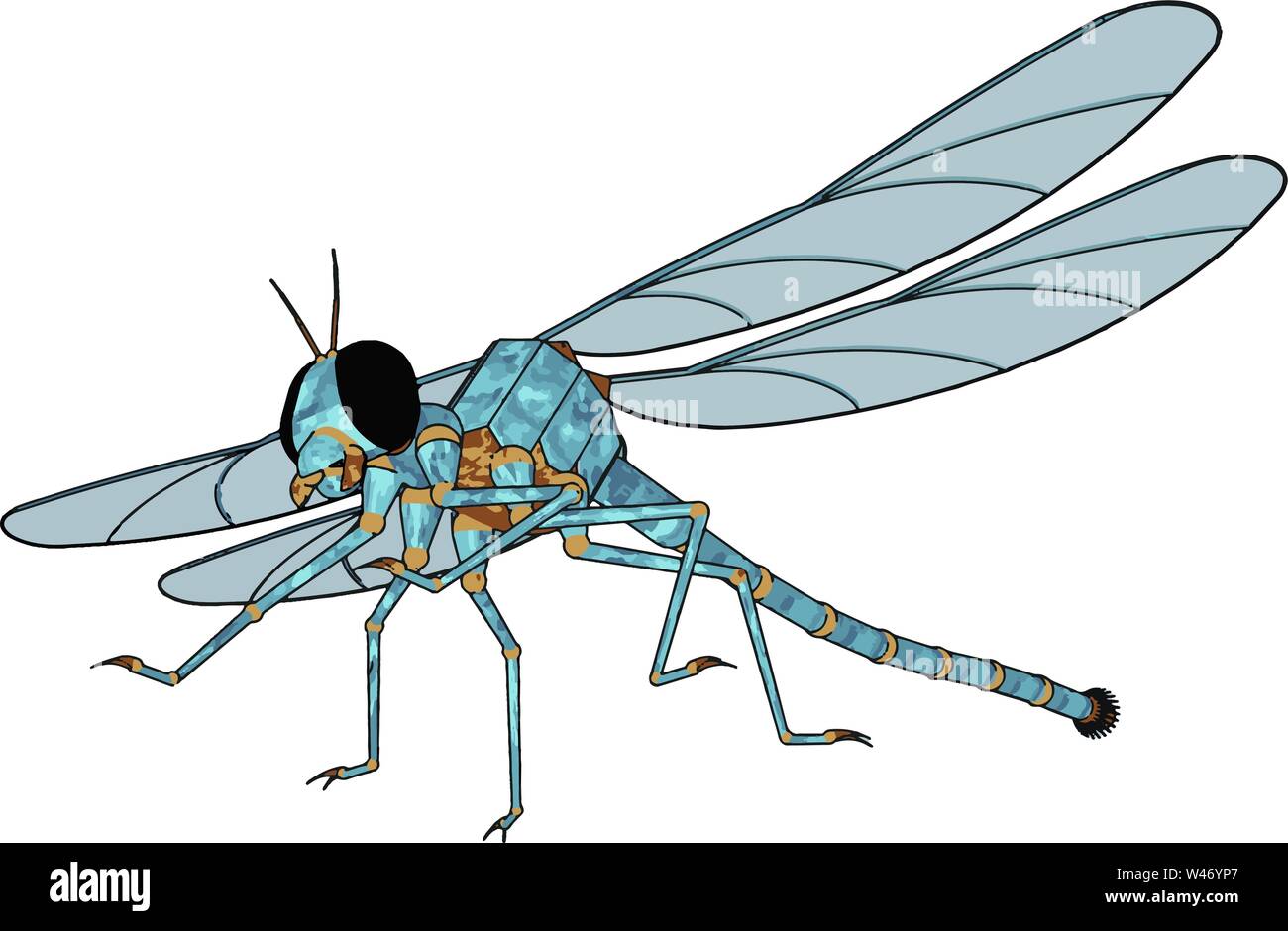 Modello 3D di libellula, illustrazione, vettore su sfondo bianco. Illustrazione Vettoriale
