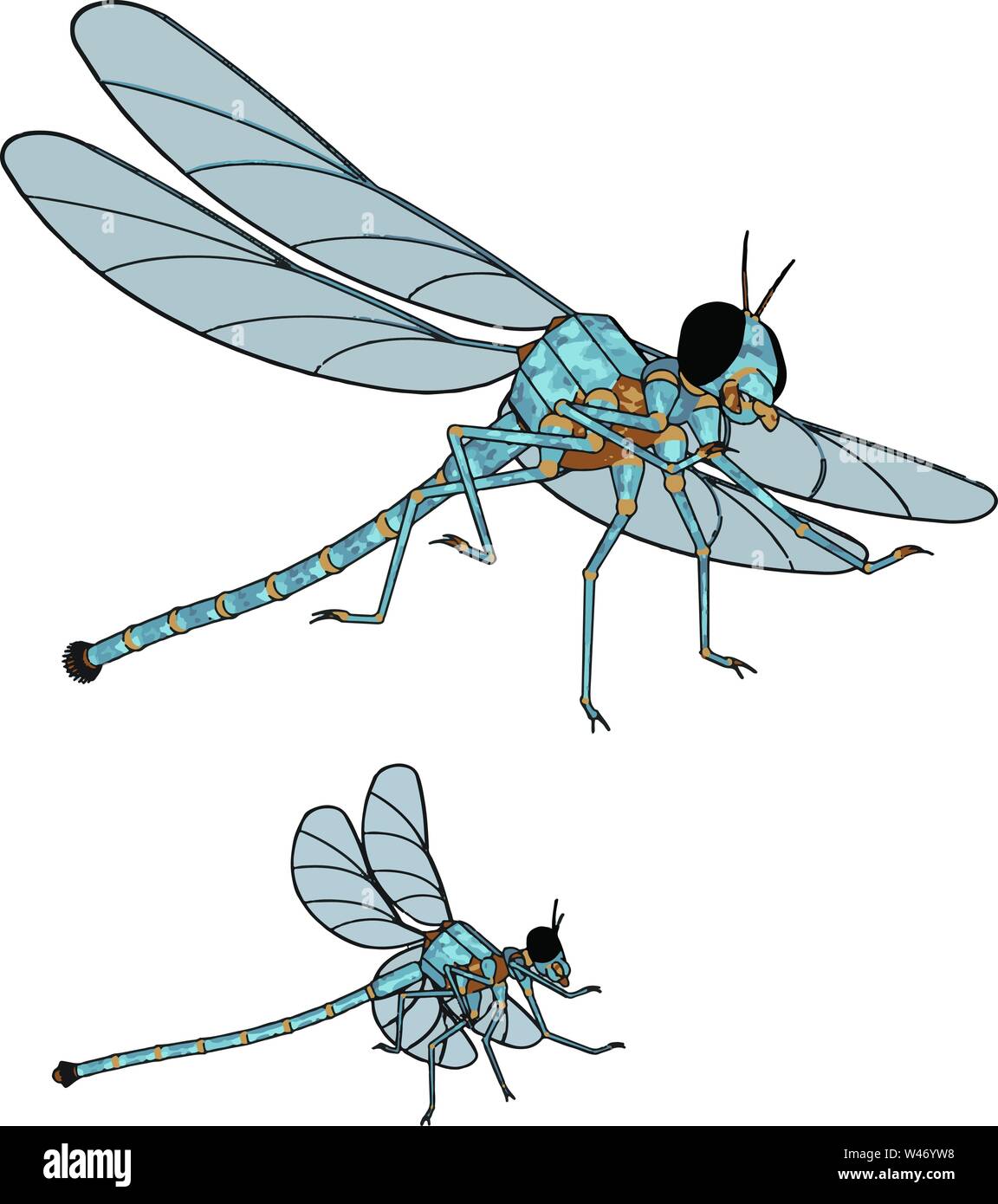 Modello 3D di libellula, illustrazione, vettore su sfondo bianco. Illustrazione Vettoriale