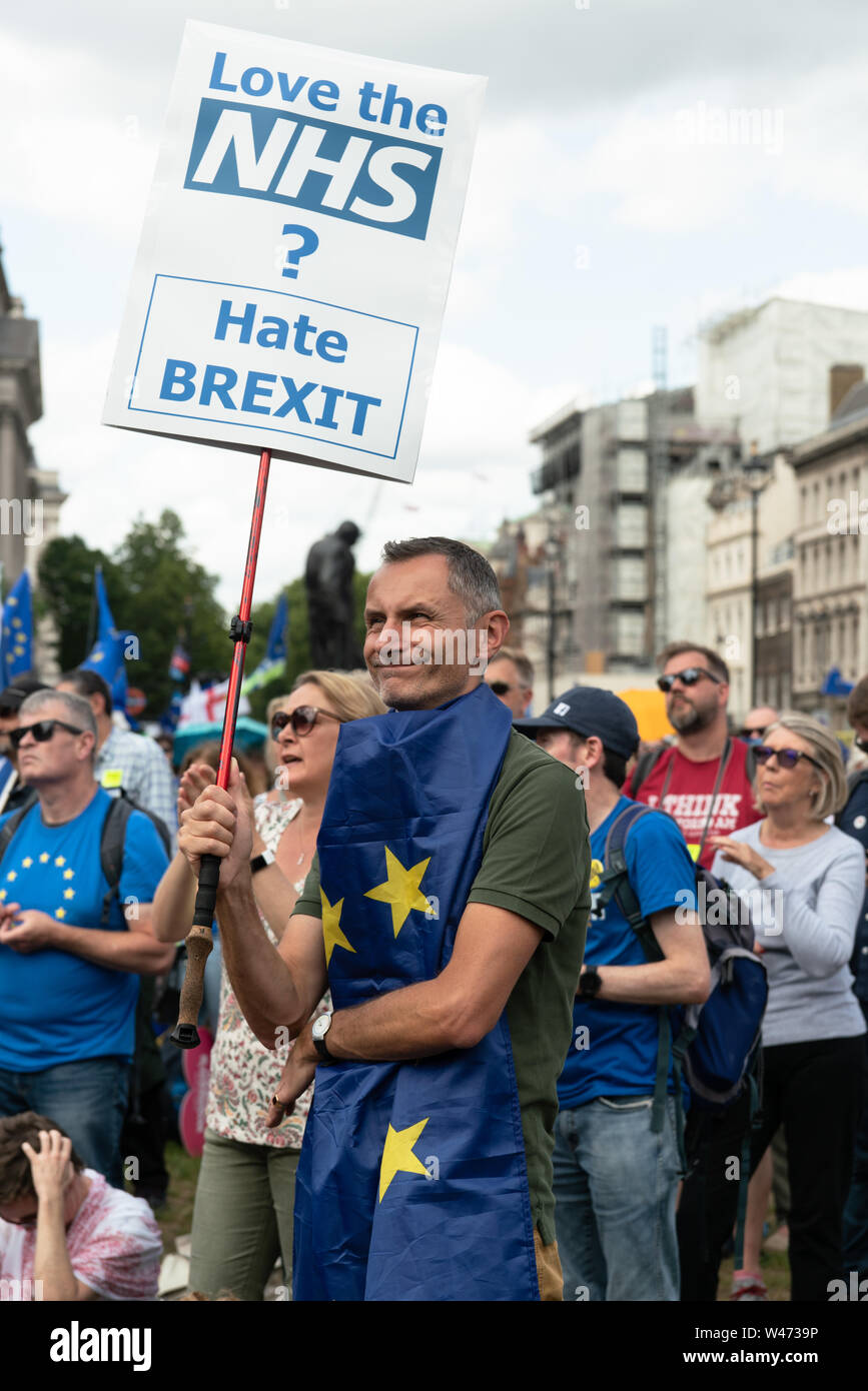 Londra, Regno Unito. 20 luglio 2019: Anti Brexit manifestanti si riuniscono in piazza del Parlamento a seguito di un marzo a Londra. È stato stimato che 1 milioni di persone hanno partecipato da tutte le regioni del paese Credito: Bridget Catterall/Alamy Live News Credito: Bridget Catterall/Alamy Live News Foto Stock