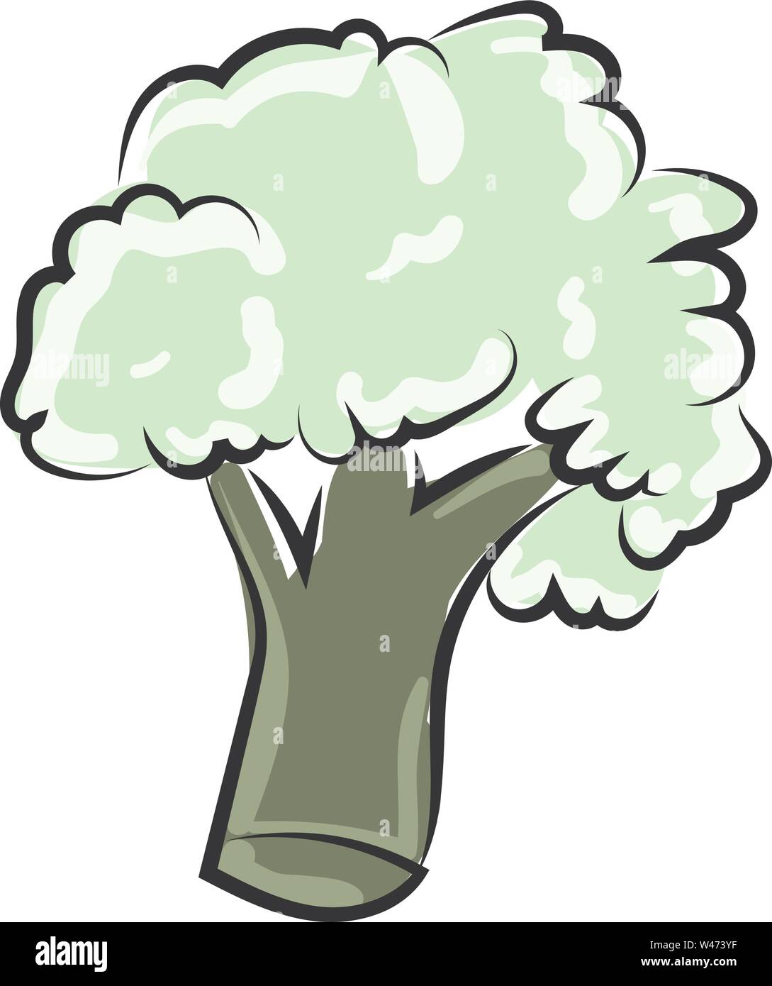 Disegno di broccoli, illustrazione vettore su sfondo bianco. Illustrazione Vettoriale