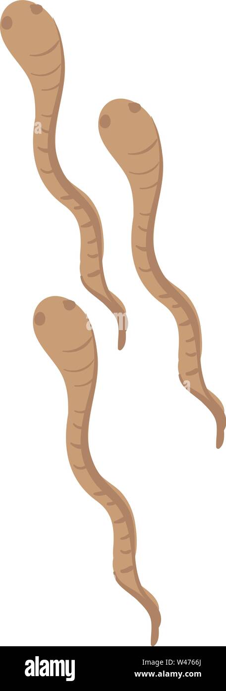 Tre i worms, illustrazione vettore su sfondo bianco. Illustrazione Vettoriale