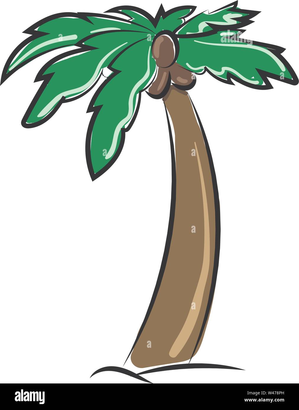 Palm tree, illustrazione vettore su sfondo bianco. Illustrazione Vettoriale