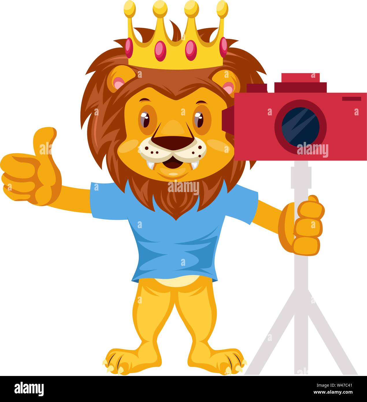 Lion con fotocamera, illustrazione, vettore su sfondo bianco. Illustrazione Vettoriale