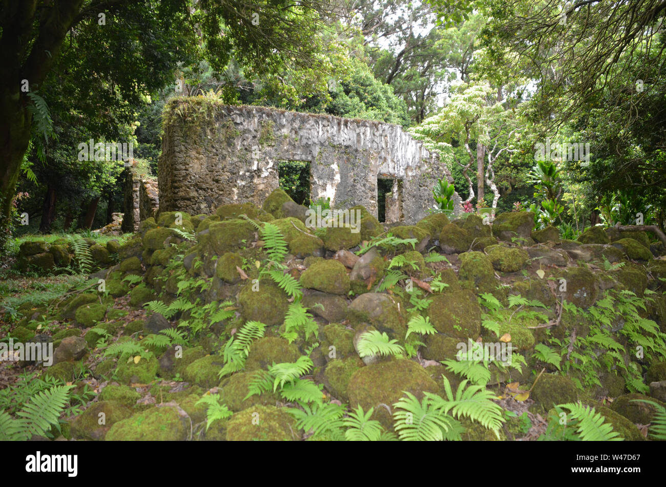 Re Kamehaeha III Summer Palace, Hawaii rovine sacra Foto Stock