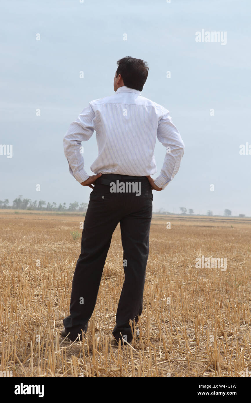 Executive in piedi in un campo di raccolta Foto Stock