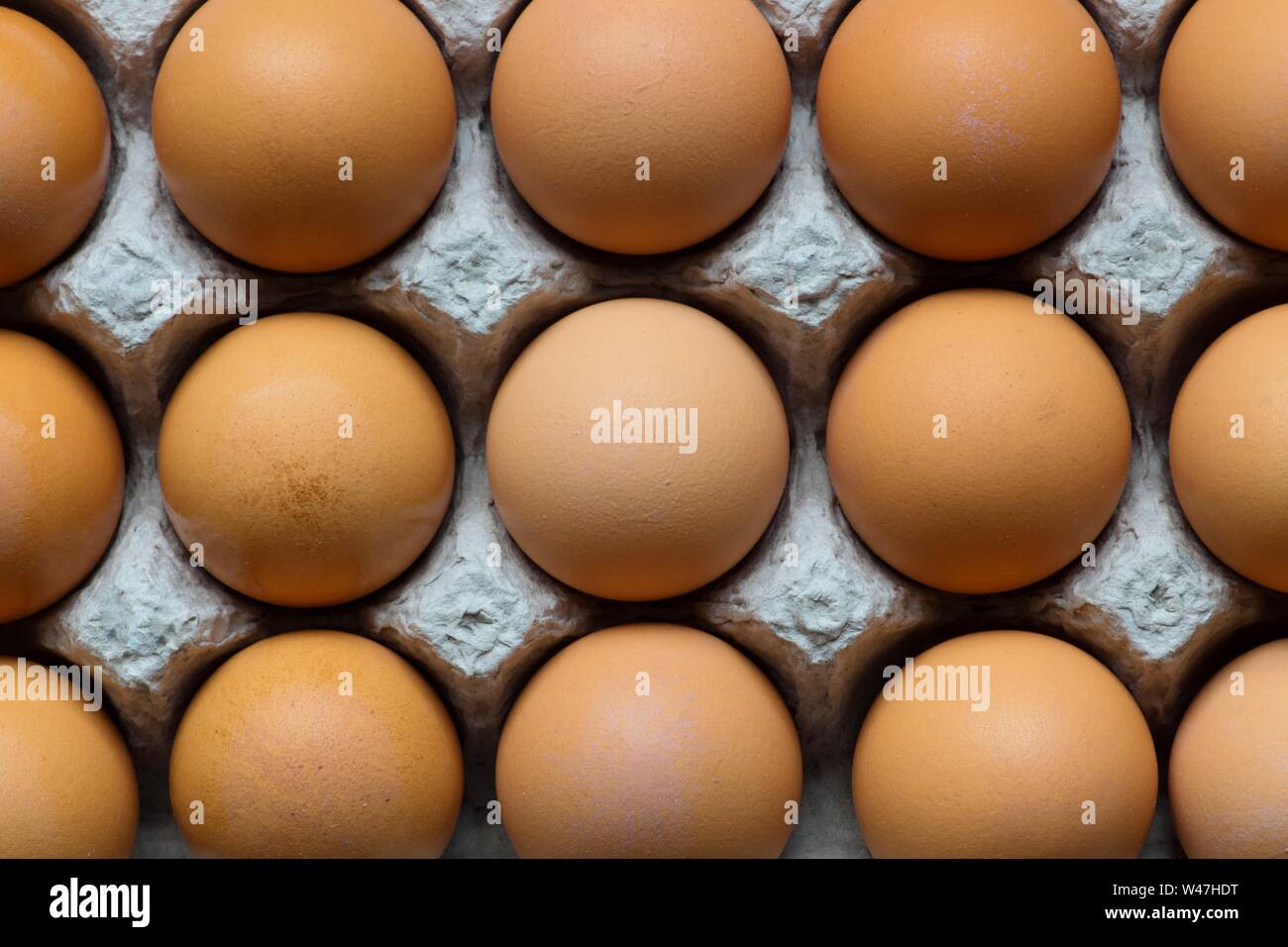 Close up marrone uova di pollo schierate nella loro scatola di cartone. Le uova sono una grande fonte di proteine e sono utilizzati in innumerevoli ricette di cucina. Foto Stock