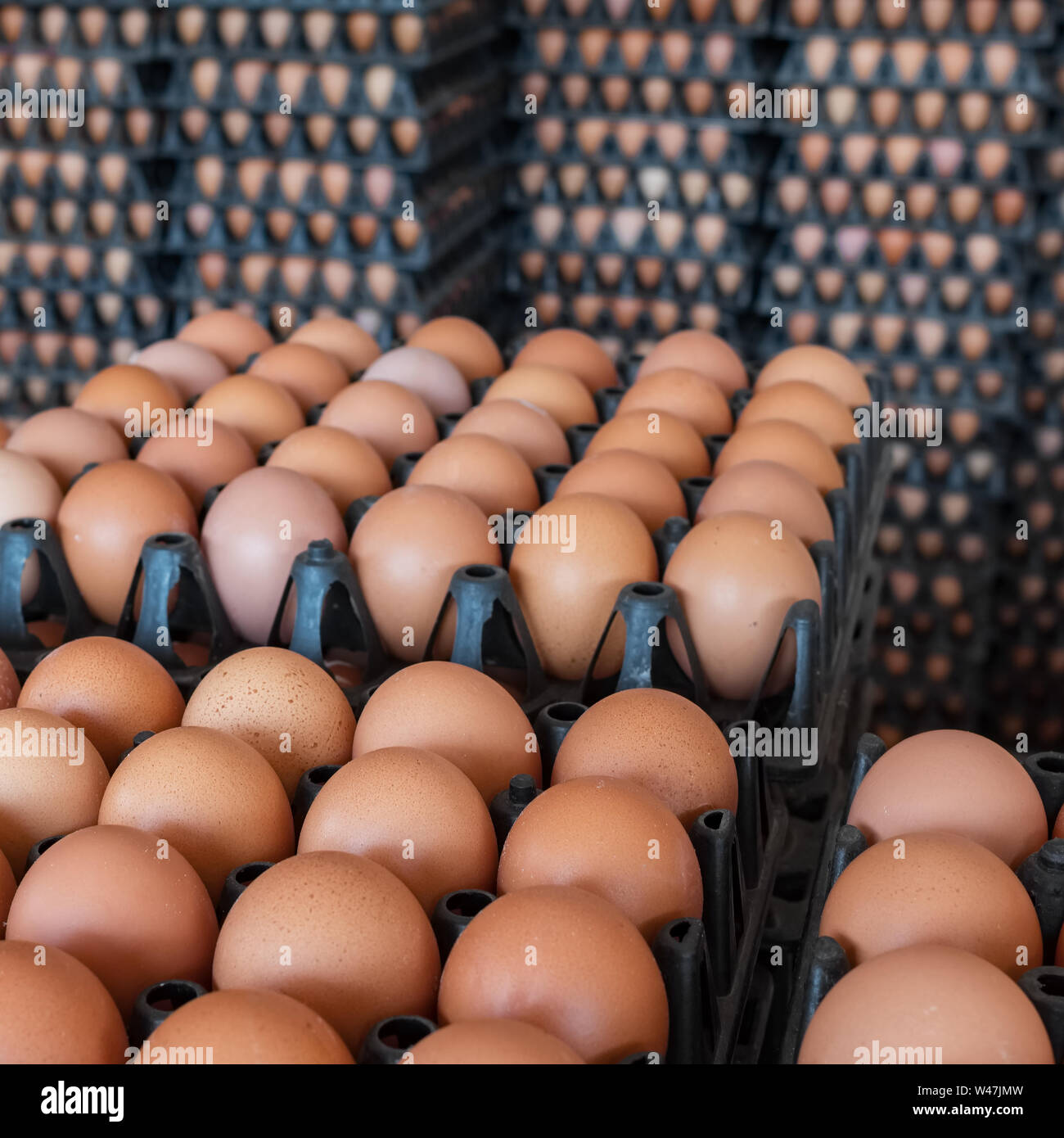 Pile di uova marrone nel negozio closeup Foto Stock