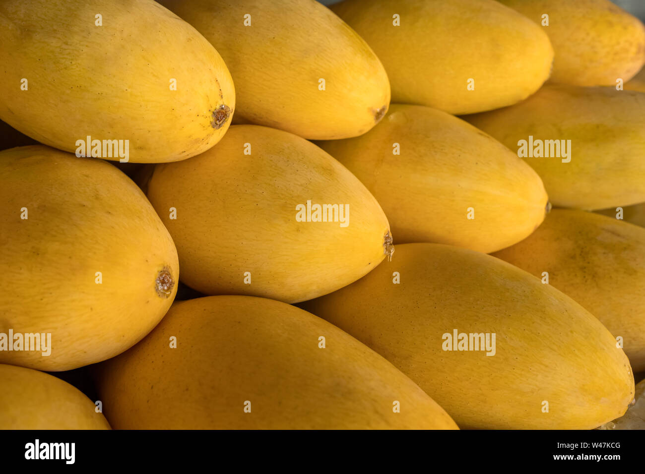 Pila di giallo fresco ripped Thai i nomi di mango Mamuang Kaew visualizzati sui frutti negozio di stallo a Bangkok, in Thailandia. Mango sfondo di frutta Foto Stock
