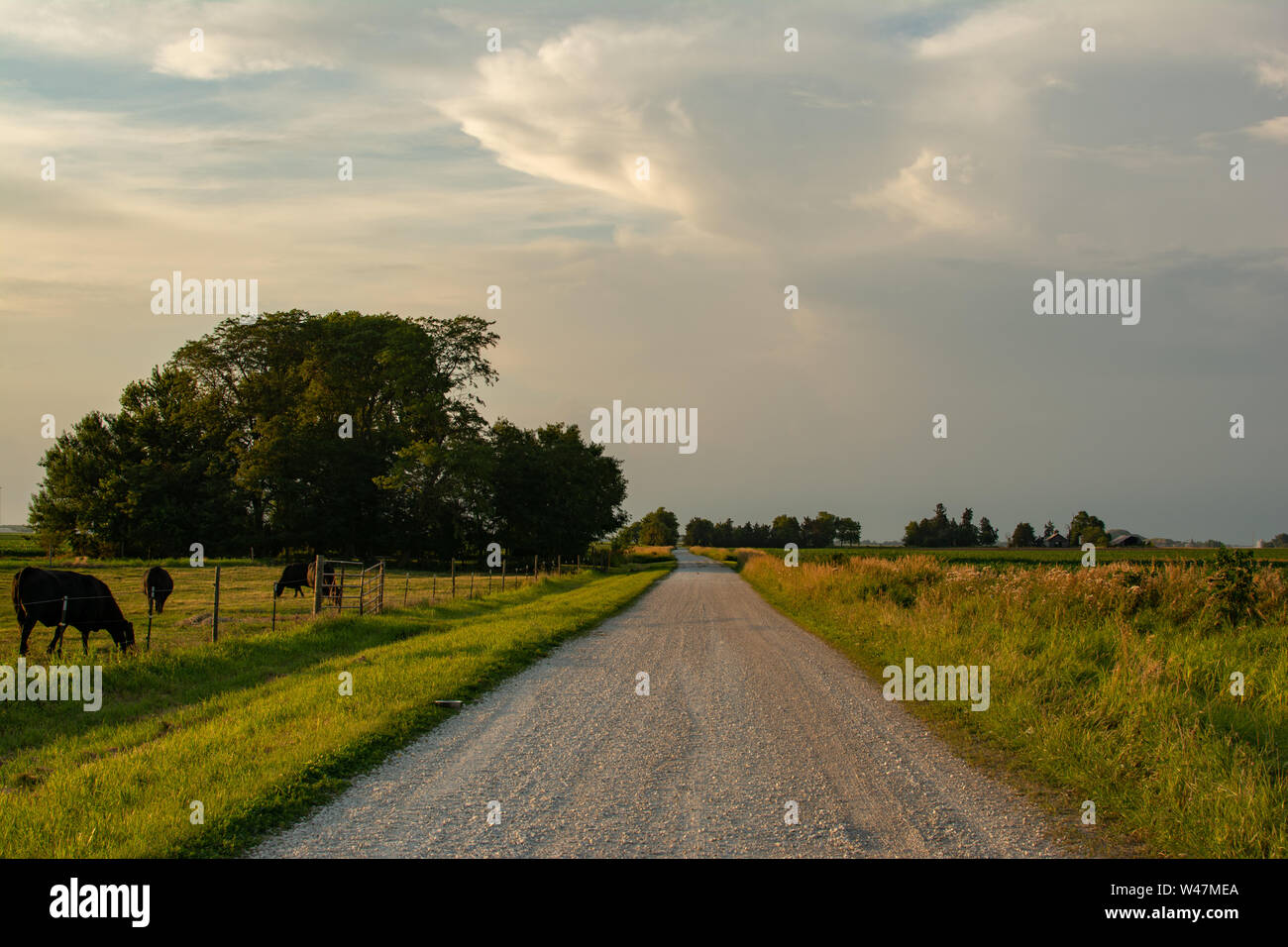 Aprire country road in Illinois rurale come il sole tramonta. LaSalle County, Illinois, Stati Uniti d'America Foto Stock