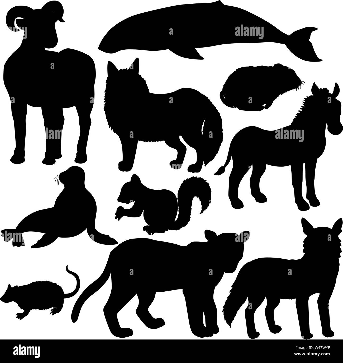 Mammiferi sagome north american animale Illustrazione Vettoriale