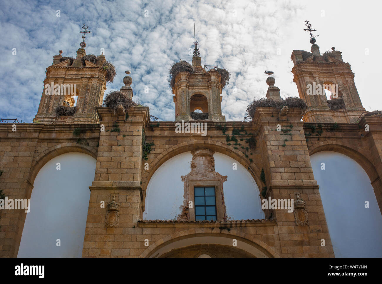 Edificio storico facciata abbondanza di cicogne bianche a Caceres, Spagna. Questi uccelli sono protetti da una zona di protezione speciale della Direttiva UE; Zepa Foto Stock