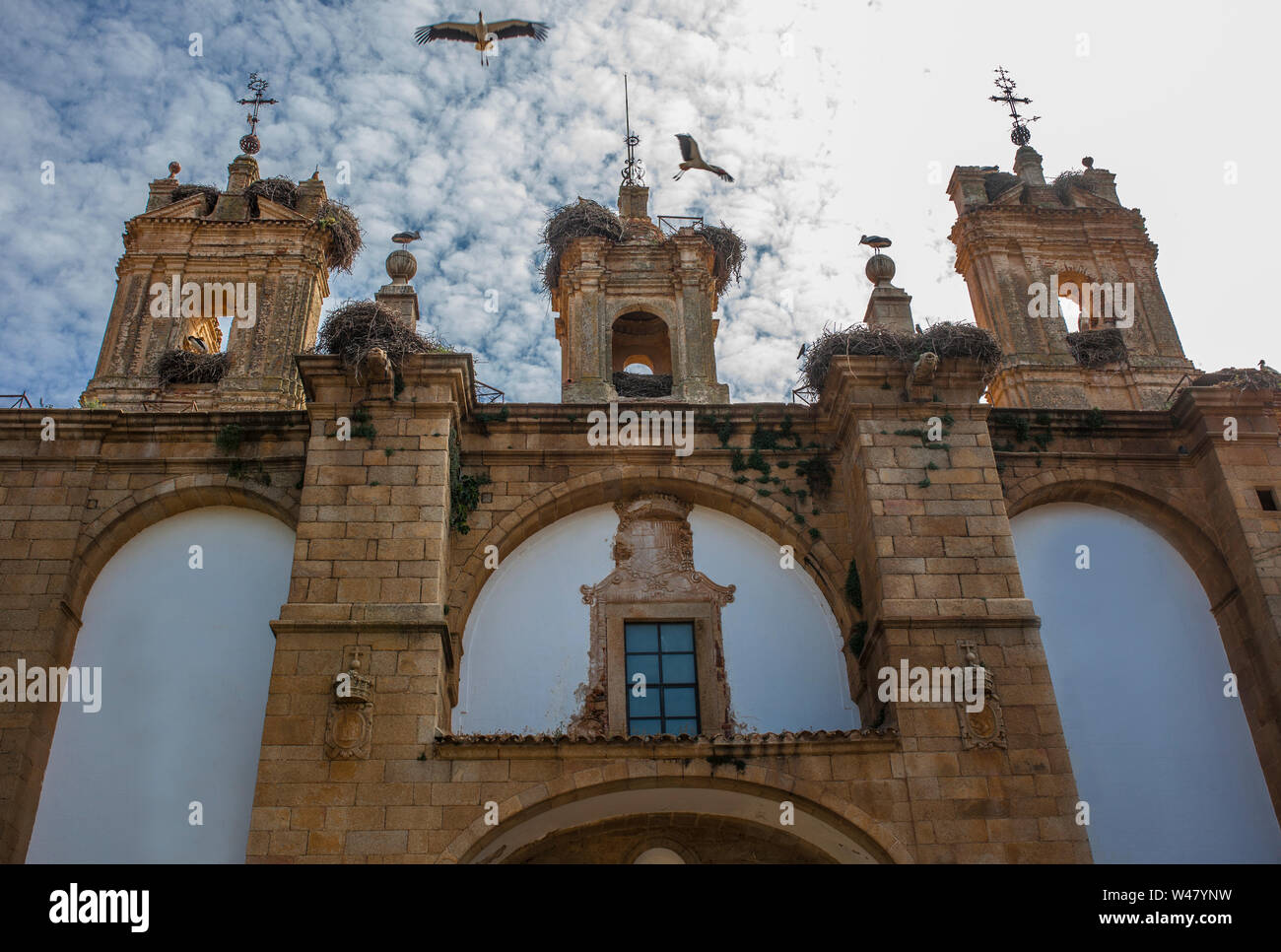 Edificio storico facciata abbondanza di cicogne bianche a Caceres, Spagna. Questi uccelli sono protetti da una zona di protezione speciale della Direttiva UE; Zepa Foto Stock