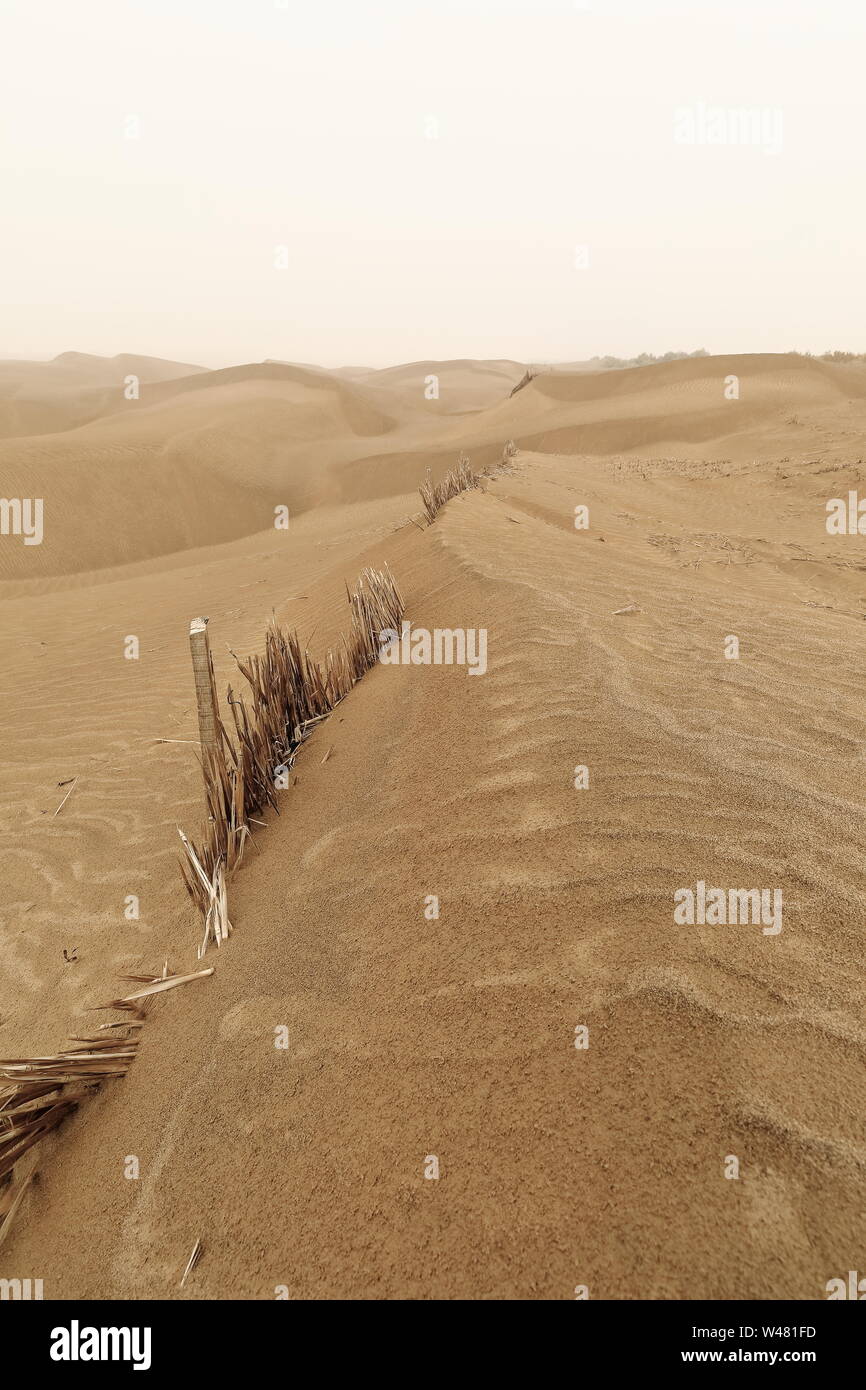 Scacchiera e barriere di controllo della sabbia. Regione di Taklamakan Desert-Xinjiang Uyghur-Cina-0357 Foto Stock