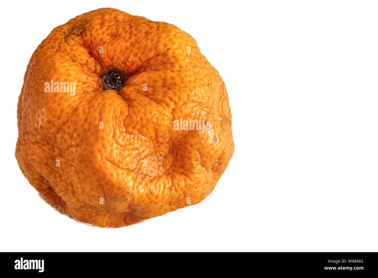 Isolate il vecchio arancione che mostra gli effetti di età e malformazioni su sfondo bianco Foto Stock