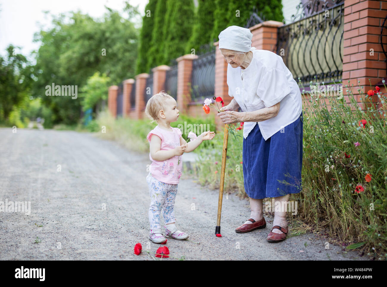 Grande nonna e bimbo ragazza a caccia di fiori all'aperto in campagna Foto Stock