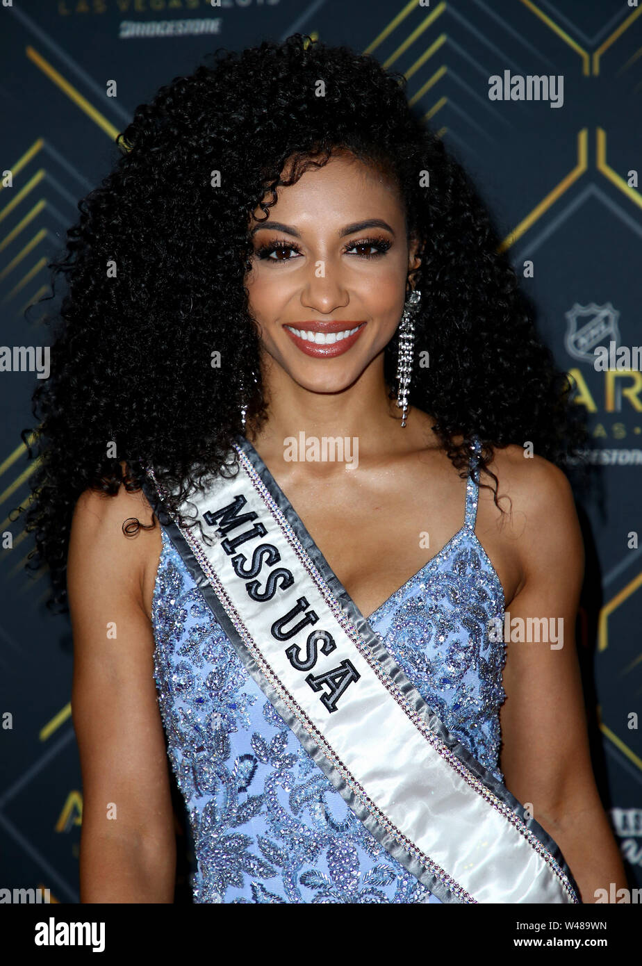2019 NHL Awards gli arrivi al Mandalay Bay Events Centre di Las Vegas offre: Miss Universo Catriona grigio in cui: Las Vegas, Nevada, Stati Uniti quando: 19 giu 2019 Credit: Judy Eddy/WENN.com Foto Stock