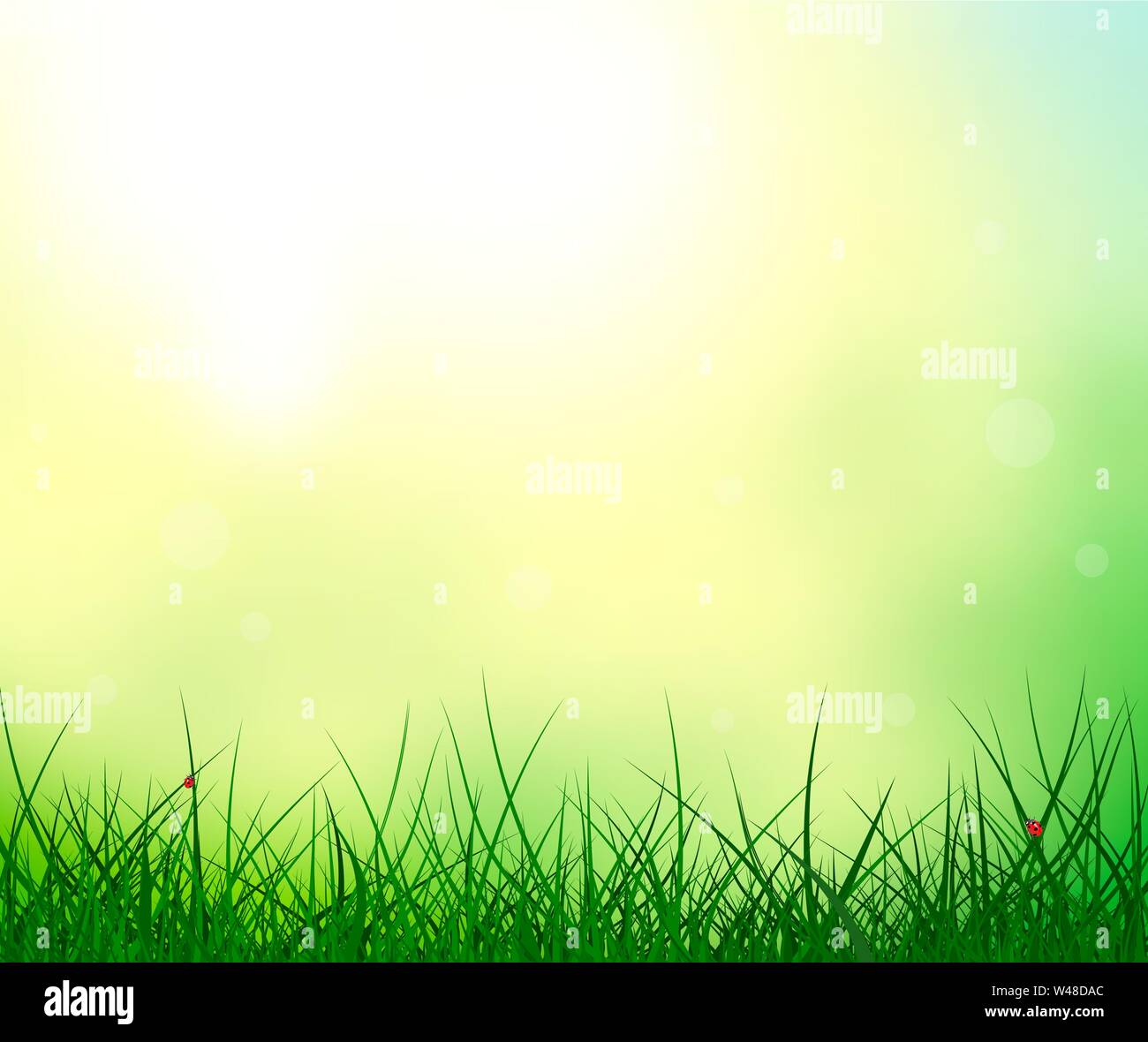 Abstract estate sfondo. Erba sul sole sfondo. Ladybug sull'erba. La natura della scena, dettagli. Illustrazione Vettoriale