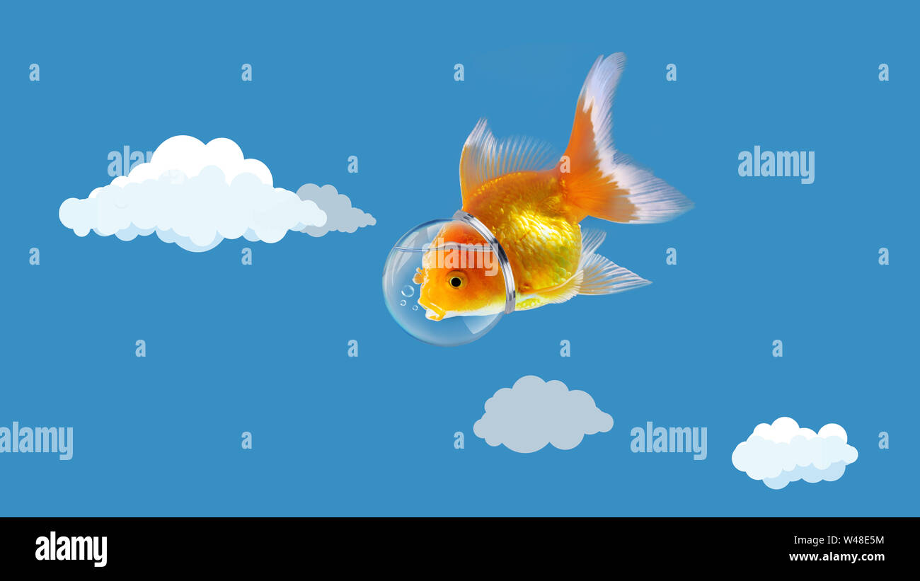 Goldfish nel cielo con astronauta hat, Oro i pesci nuotano nel cielo blu,media misti. storie enigmatiche, fantasia, fiabe, Foto Stock