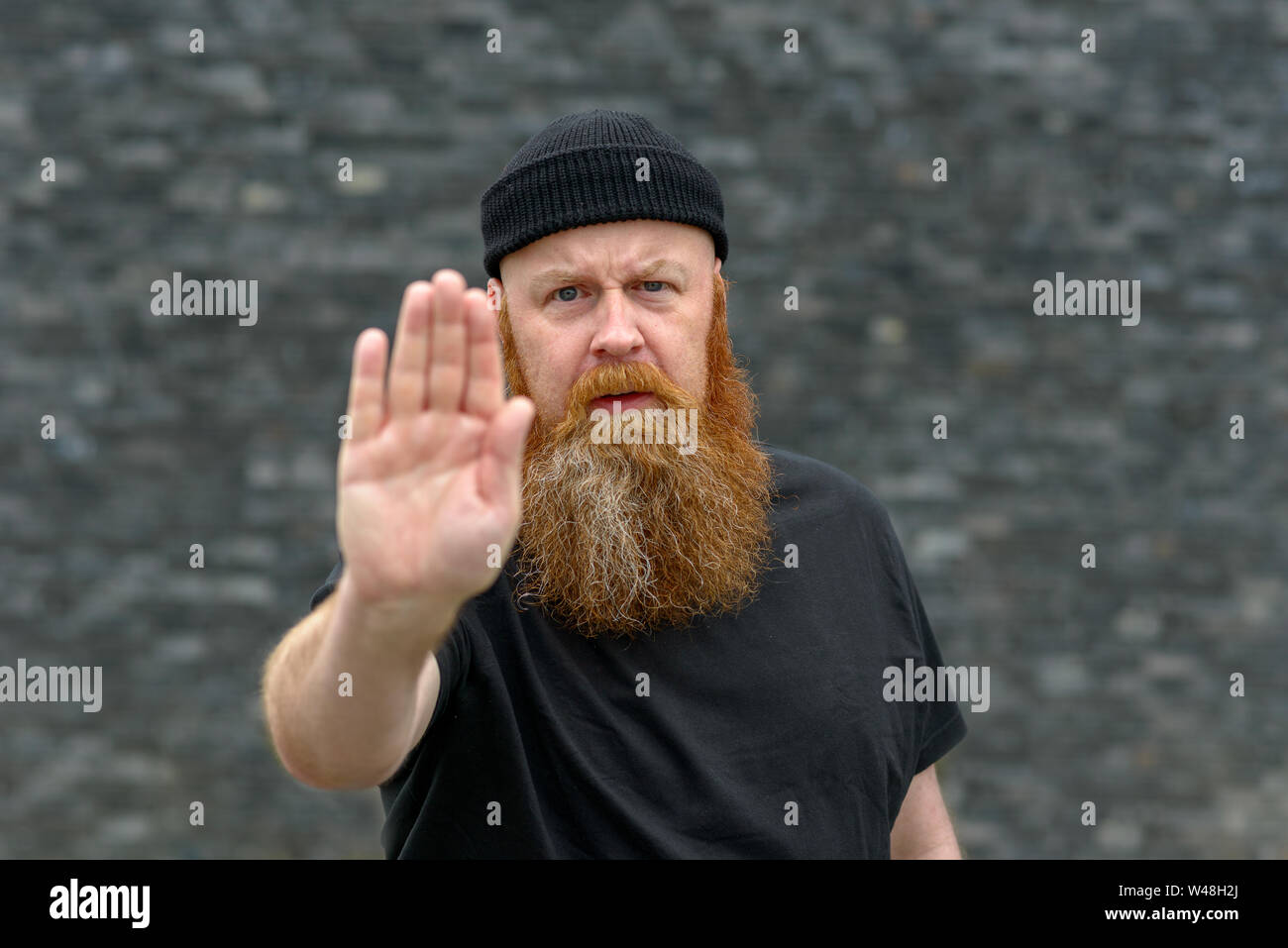 Stufi uomo barbuto che mostra ha avuto abbastanza tenendo alto il suo pal in un gesto di arresto con un espressione frustrato su grigio Foto Stock