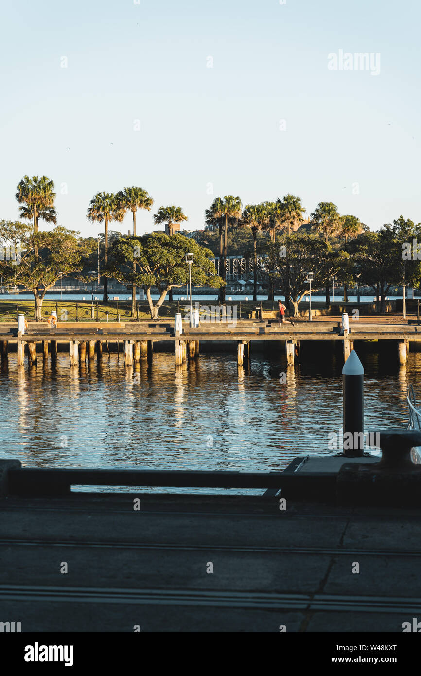 Pyrmont, Nuovo Galles del Sud - Luglio 18th, 2019: Early Morning Sun lights Darling isola al Parco Pirrama/Jones Bay Wharf, Sydney NSW. Foto Stock