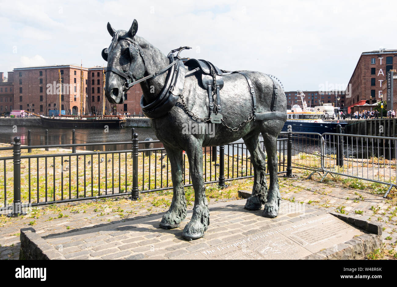In attesa di una statua commemorativa per i cavalli da lavoro di Liverpool Foto Stock