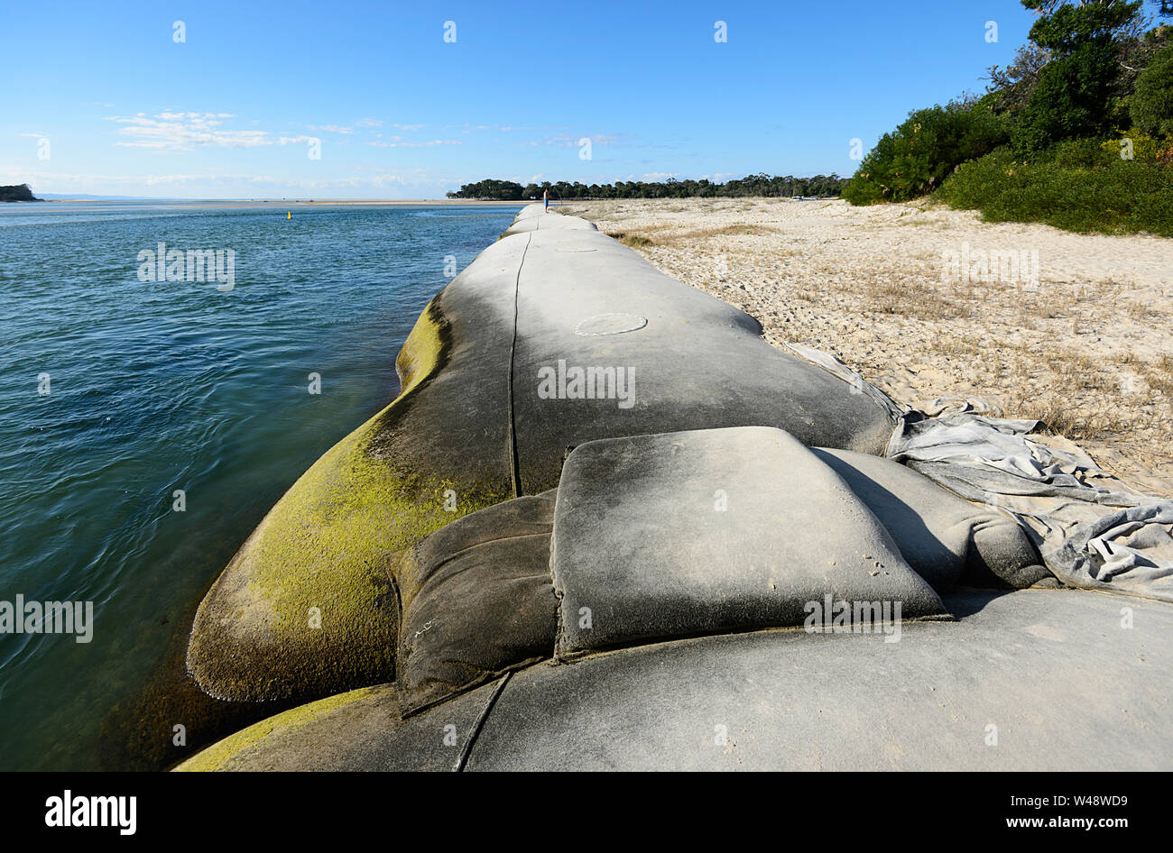 Difesa del Mare contro erosione costiera a Noosa teste, Sunshine Coast, Queensland, QLD, Australia Foto Stock