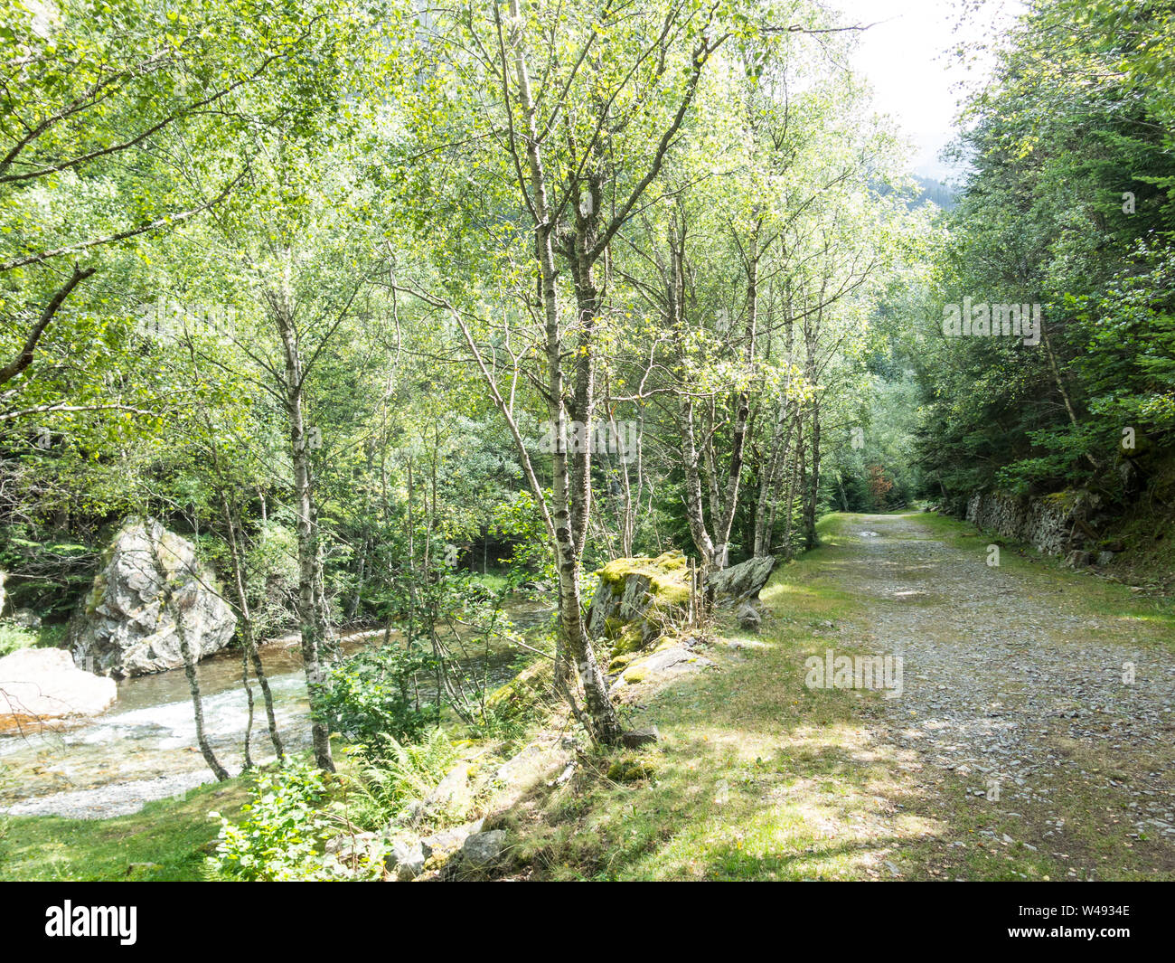 Piccolo percorso di trekking o di passeggiate in Pla de Boavi; nella provincia di Lleida, Pirenei catalani. La Catalogna, Spagna. Foto Stock