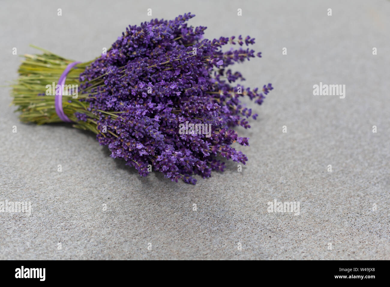 Mazzo di fiori di lavanda su una tabella di colore grigio Foto Stock