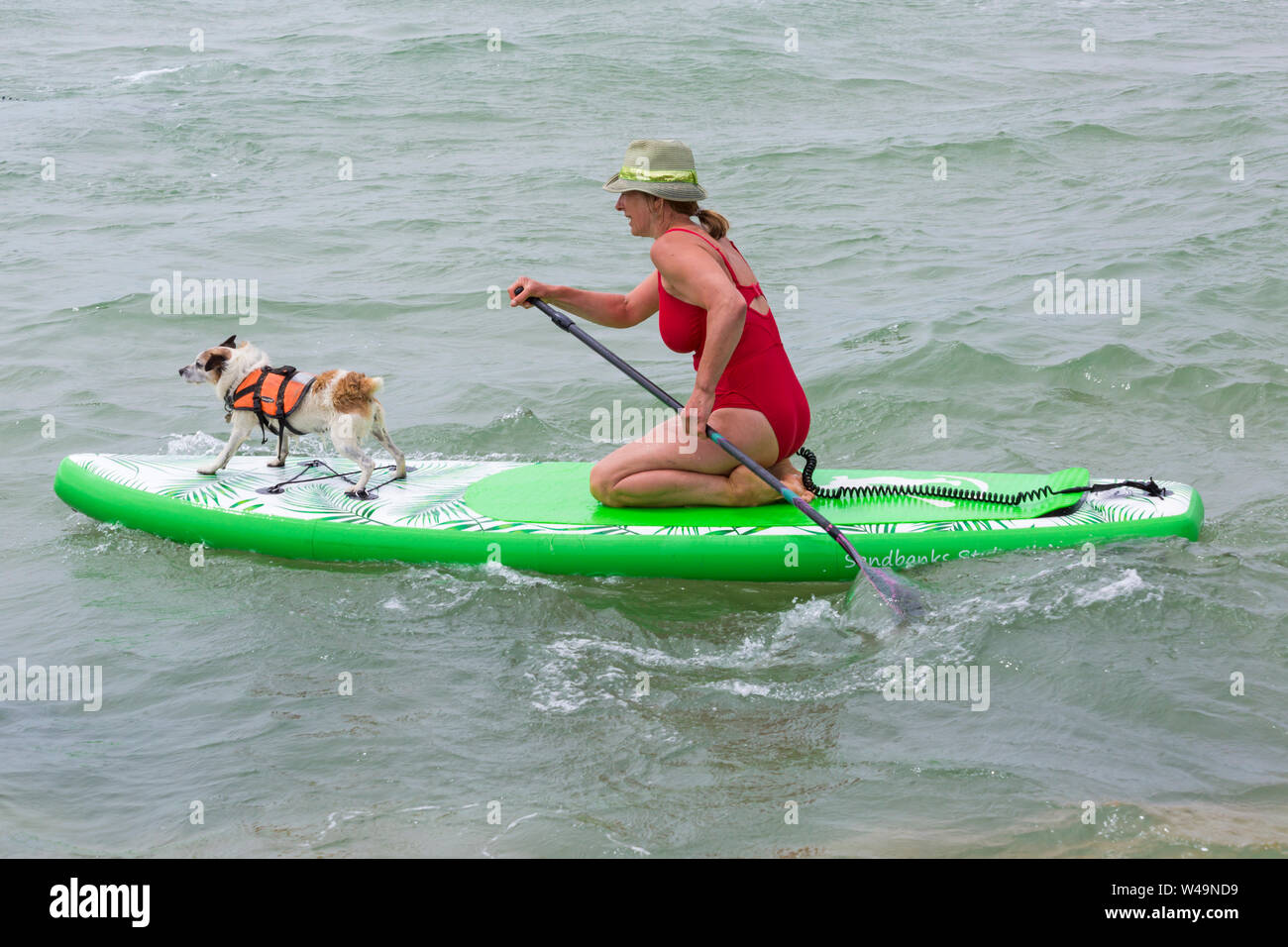 Branksome Dene lombata, Poole, Dorset, Regno Unito. Il 21 luglio 2019. Dopo il successo degli ultimi anni UKs primo cane campionati di surf, organizzato da Shaka Surf, a Branksome Dene Chine beach, la manifestazione si svolge per il secondo anno con ancor più i cani che vi partecipano e surf e paddleboarding sulle loro tavole. La folla a sua volta guarda il divertimento su breezy day rendendo le condizioni più impegnative. Tilly, il Jack Russell, cane la navigazione con il proprietario - Tilly sulla tavola da surf paddleboard. Credito: Carolyn Jenkins/Alamy Live News Foto Stock